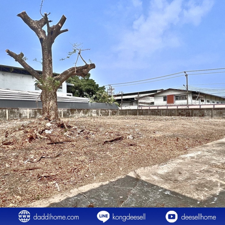 ขาย/ให้เช่า โรงงานหนองแขม