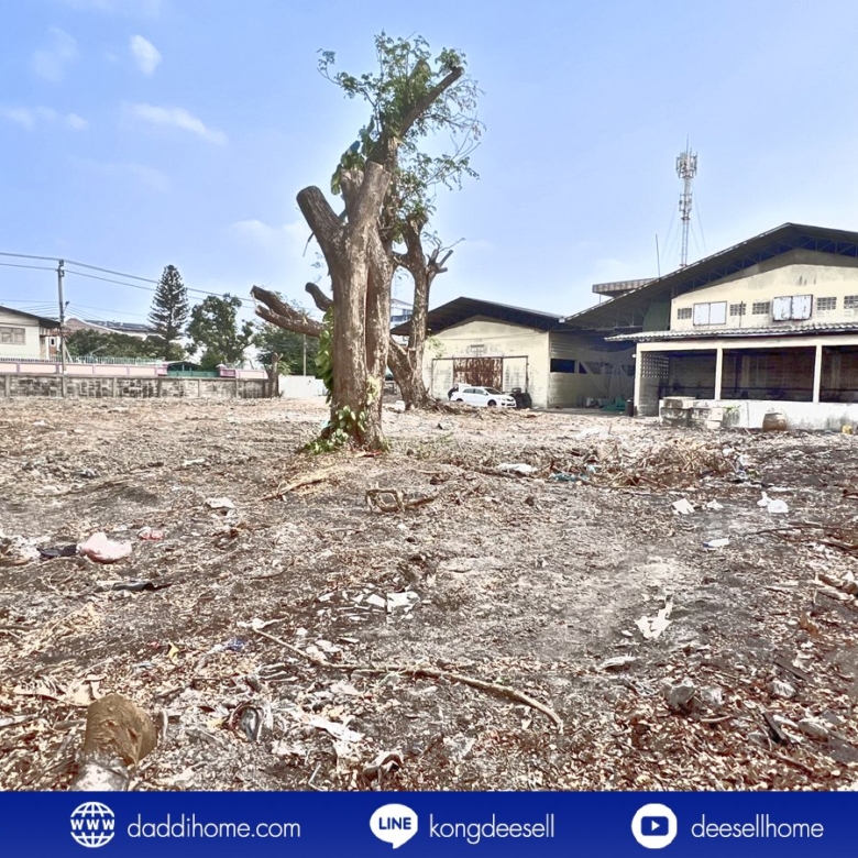 ขาย/ให้เช่า โรงงานหนองแขม