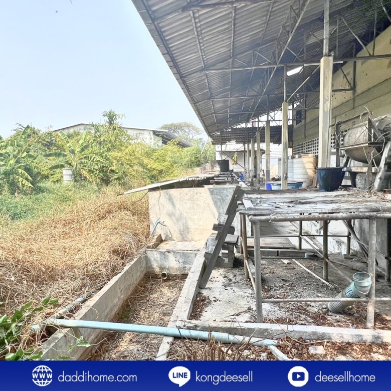 ขาย/ให้เช่า โรงงานหนองแขม