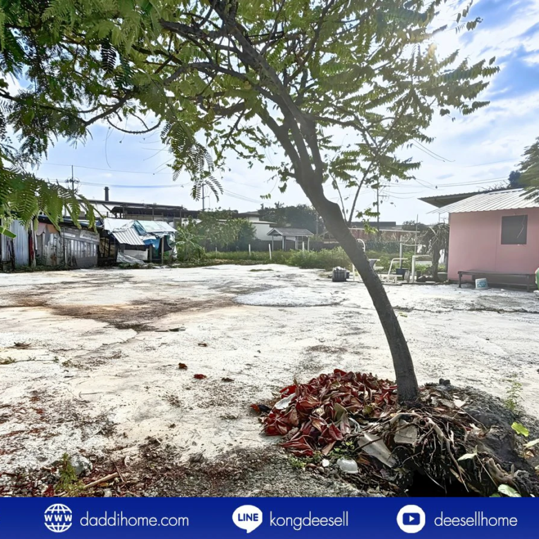 ขายที่ดินปู่เจ้าสมิงพราย