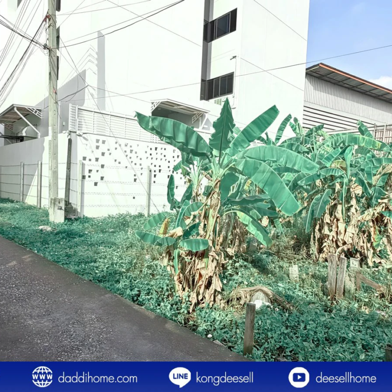 ขายที่ดินปู่เจ้าสมิงพราย