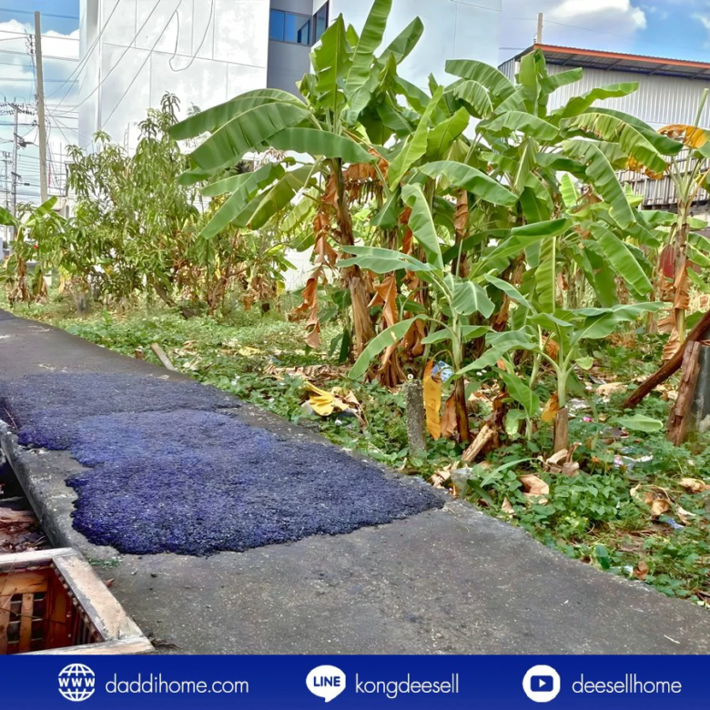 ขายที่ดินปู่เจ้าสมิงพราย