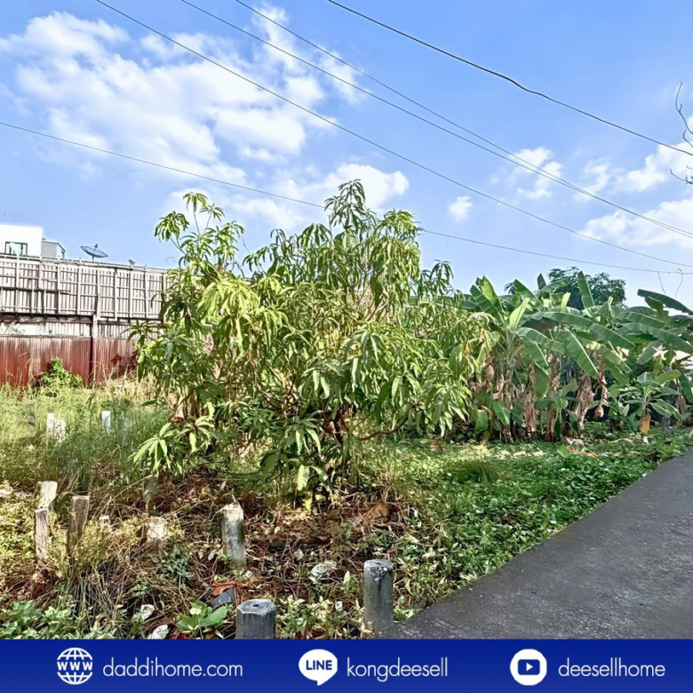 ขายที่ดินปู่เจ้าสมิงพราย