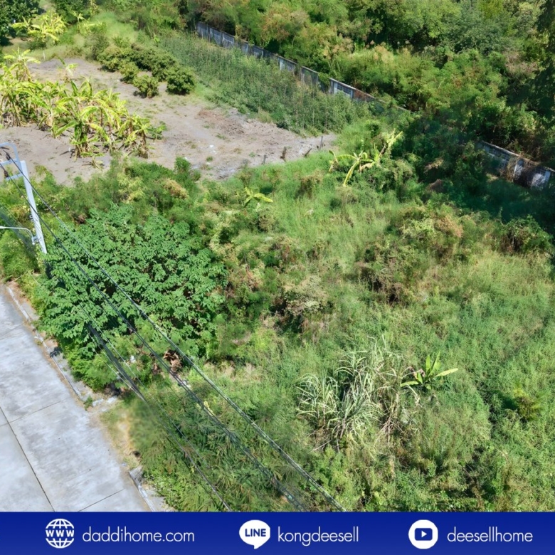 ขายที่ดินปากเกร็ด