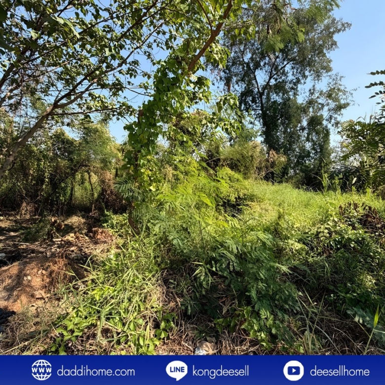 ขายที่ดินปากเกร็ด