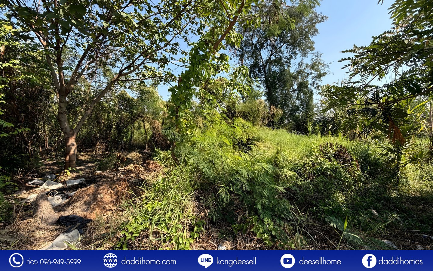 ขายที่ดินปากเกร็ด