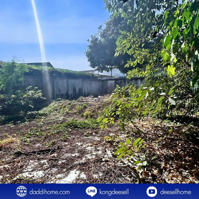 ขายที่ดินสรณคมน์ 17