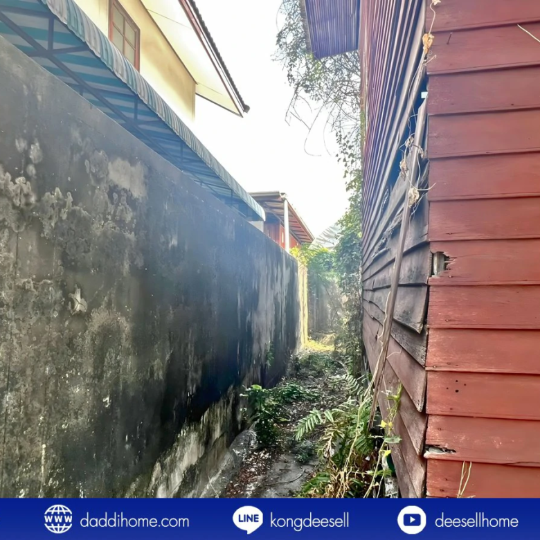 ขายที่ดินสรณคมน์ 17