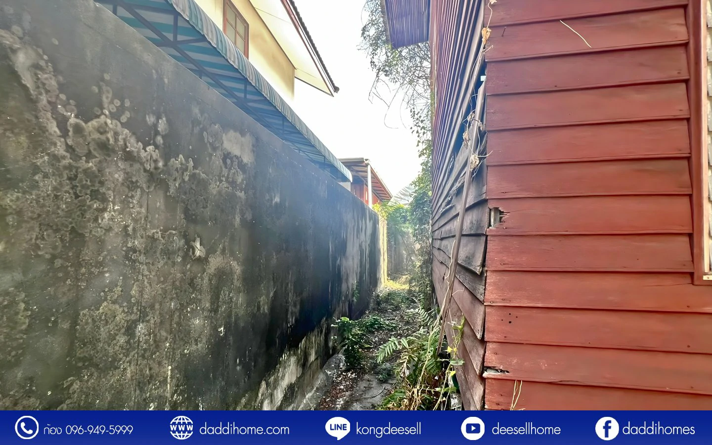 ขายที่ดินสรณคมน์ 17