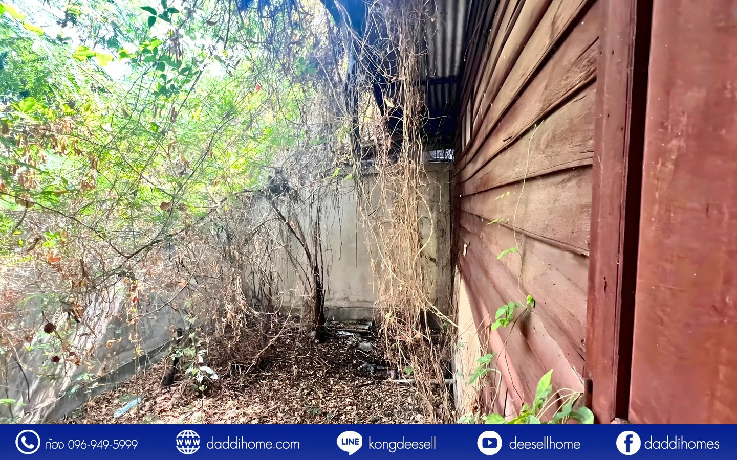 ขายที่ดินสรณคมน์ 17