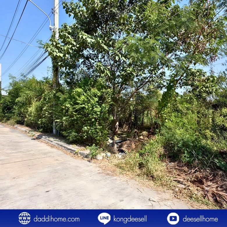 ขายที่ดินปากเกร็ด