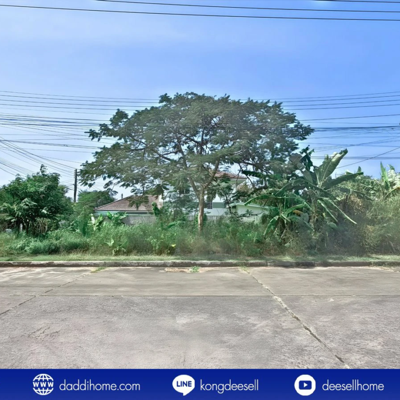 ที่ดินมหาชัยเมืองใหม่