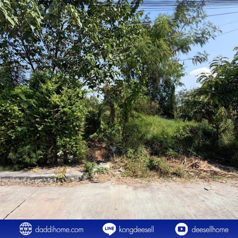 ขายที่ดินปากเกร็ด