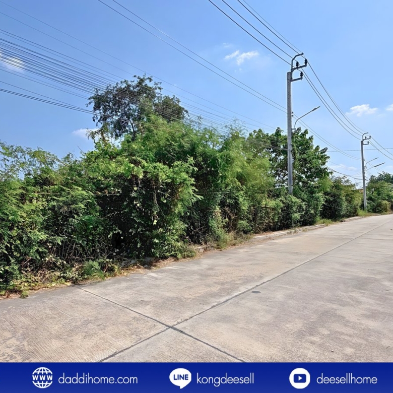 ขายที่ดินปากเกร็ด