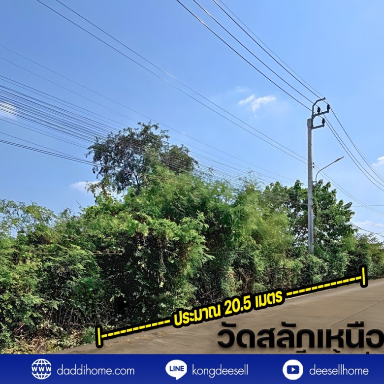 ขายที่ดินปากเกร็ด