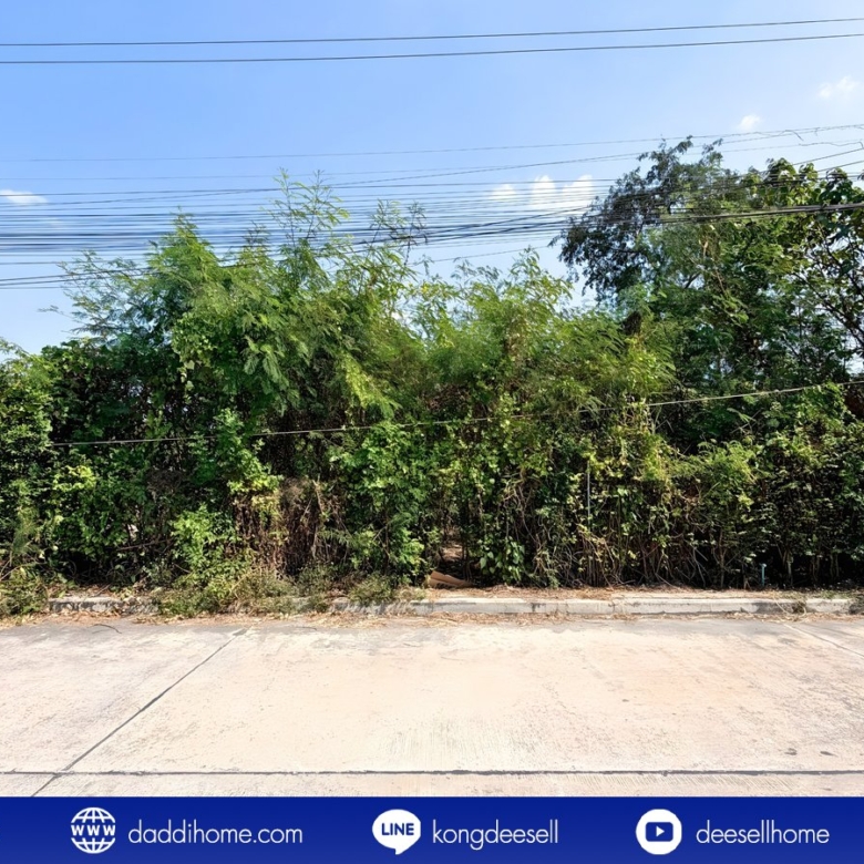 ขายที่ดินปากเกร็ด