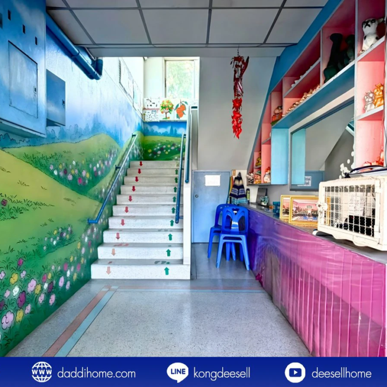 ขายที่ดินดอนเมือง