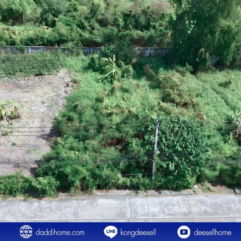 ขายที่ดินปากเกร็ด