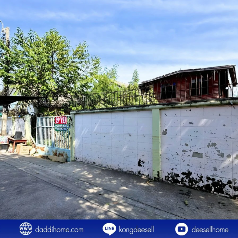 ขายที่ดินสรณคมน์ 17