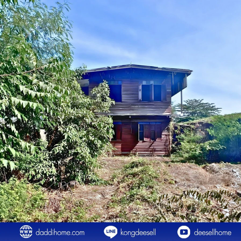 ขายที่ดินสรณคมน์ 17