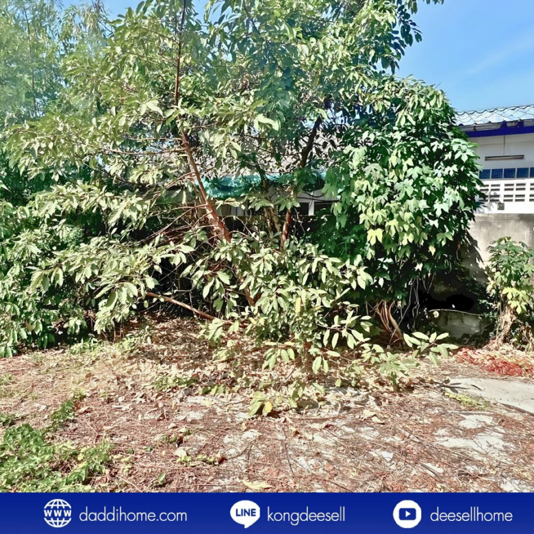 ขายที่ดินสรณคมน์ 17