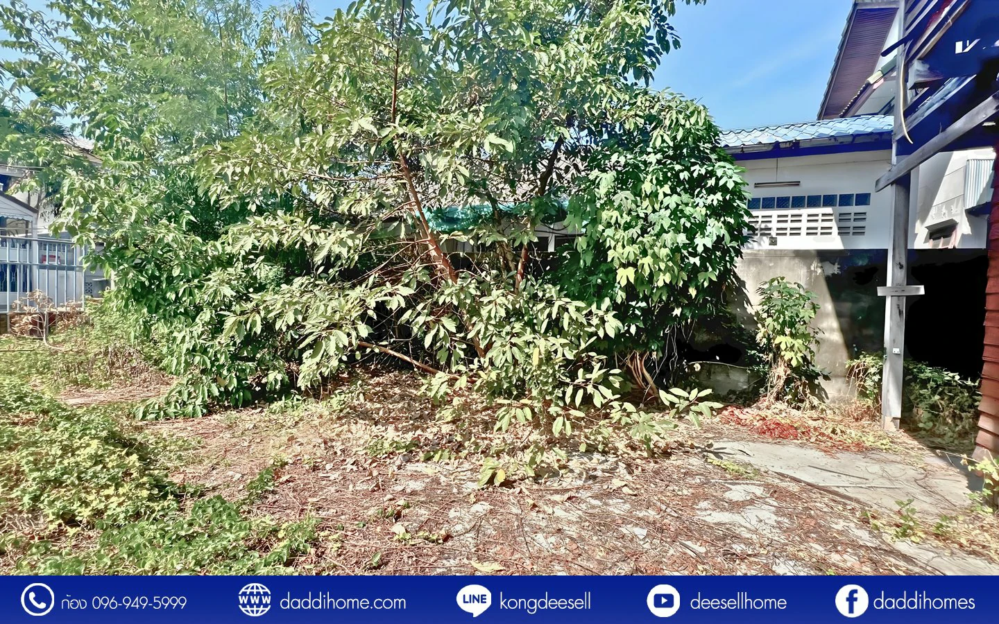 ขายที่ดินสรณคมน์ 17
