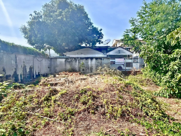 ขายที่ดินสรณคมน์ 17