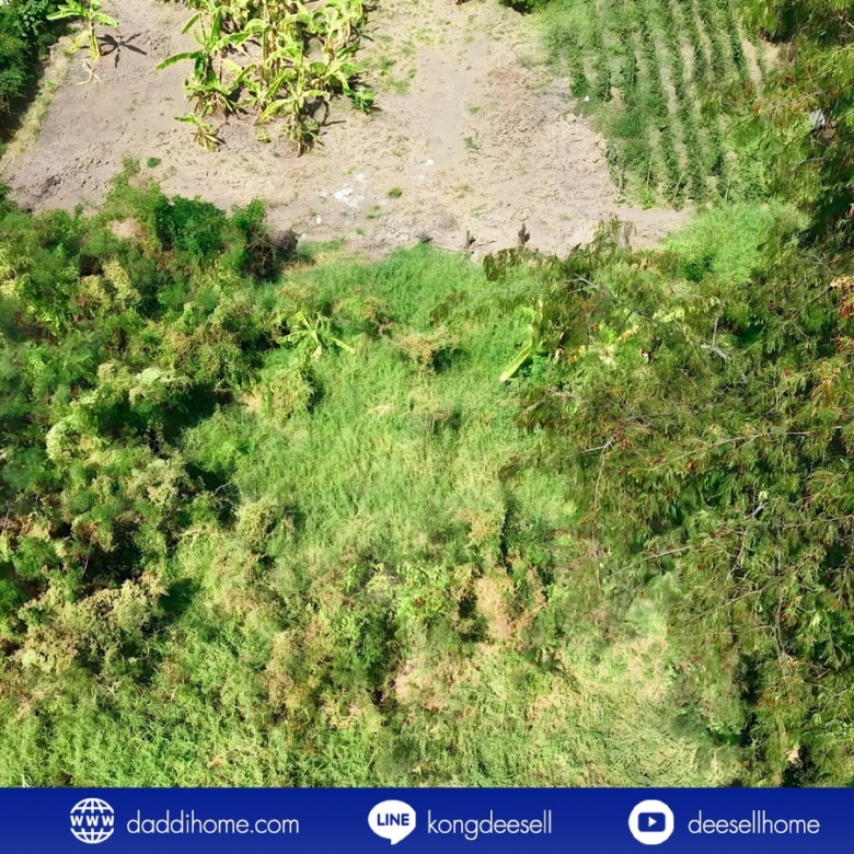 ขายที่ดินปากเกร็ด