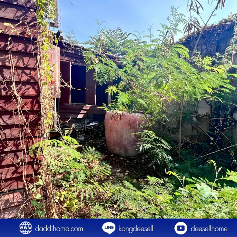 ขายที่ดินสรณคมน์ 17