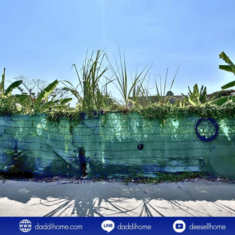 ขายที่ดินอ่อนนุช 39