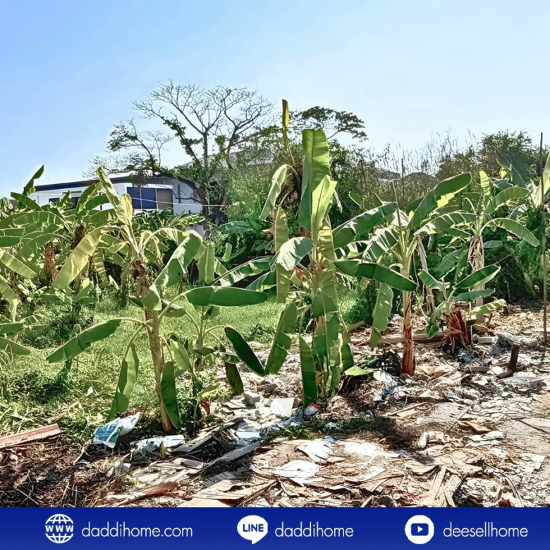 ขายที่ดินอ่อนนุช 39