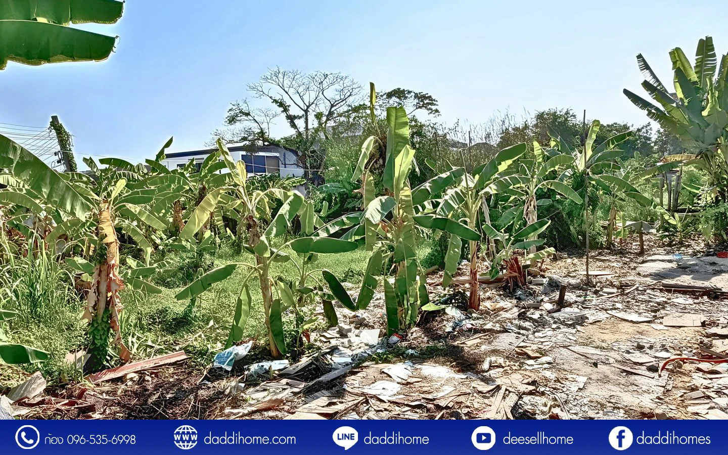 ขายที่ดินอ่อนนุช 39