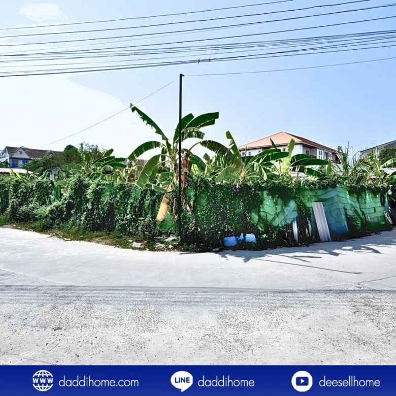 ขายที่ดินอ่อนนุช 39