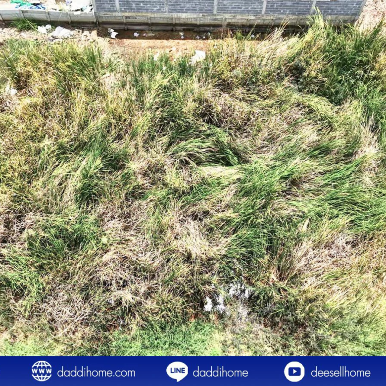 ขายที่ดินคลองหลวง 100 ตารางวา