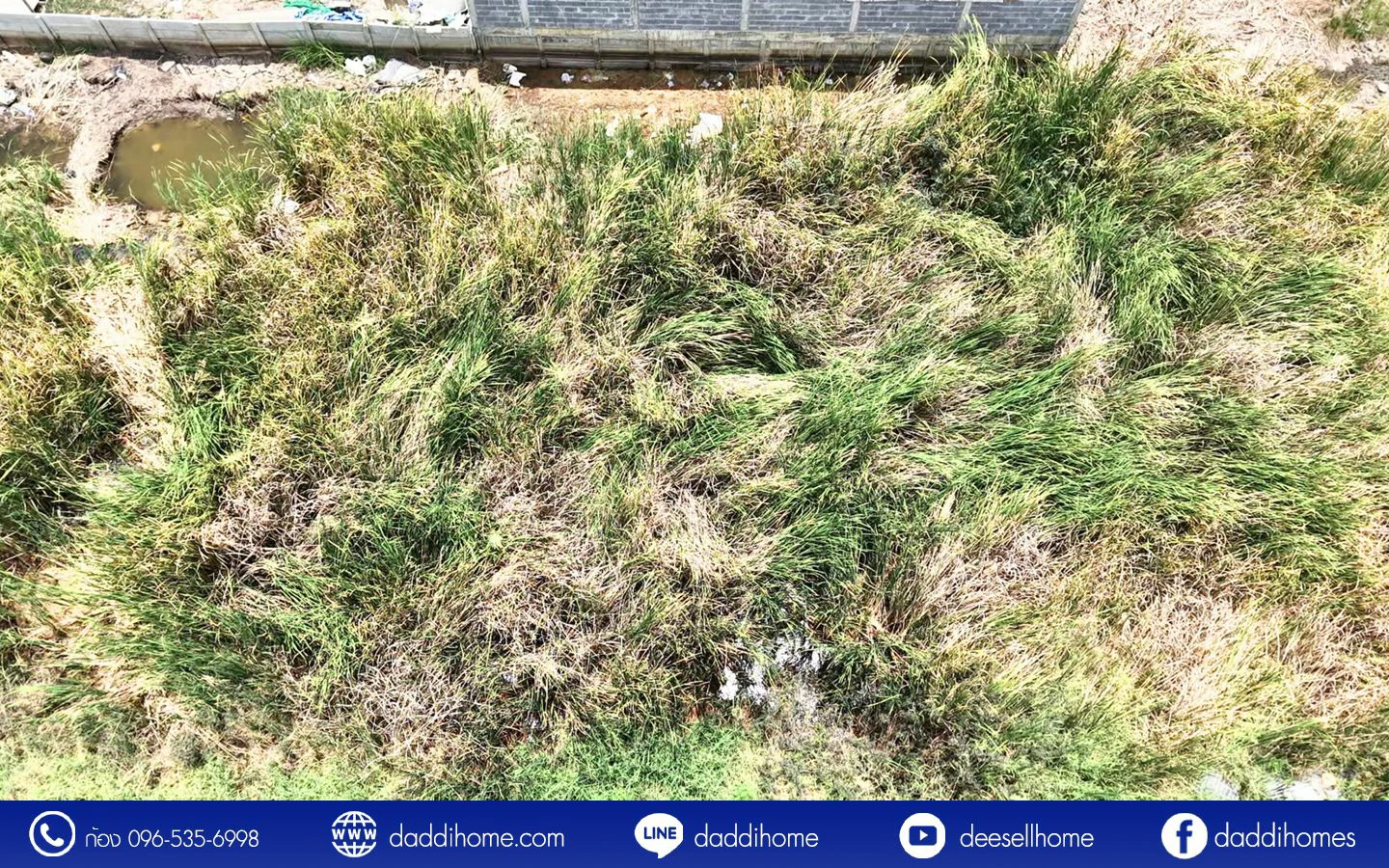 ขายที่ดินคลองหลวง 100 ตารางวา