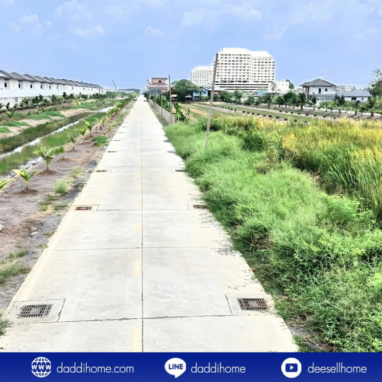 ขายที่ดินคลองหลวง 100 ตารางวา