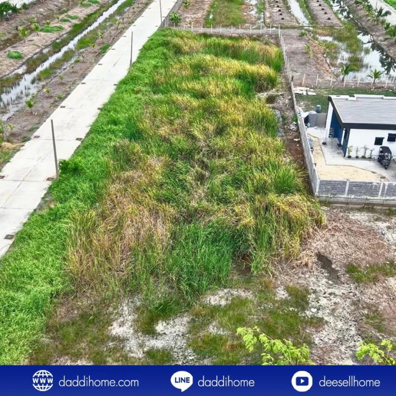 ขายที่ดินคลองหลวง 100 ตารางวา