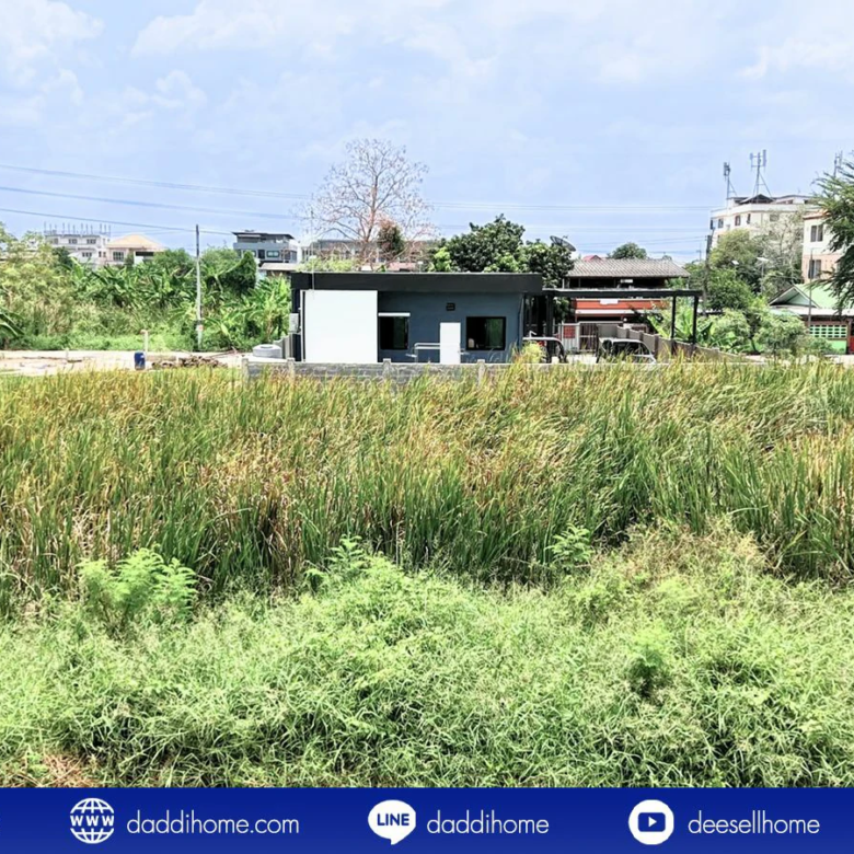 ขายที่ดินคลองหลวง 100 ตารางวา