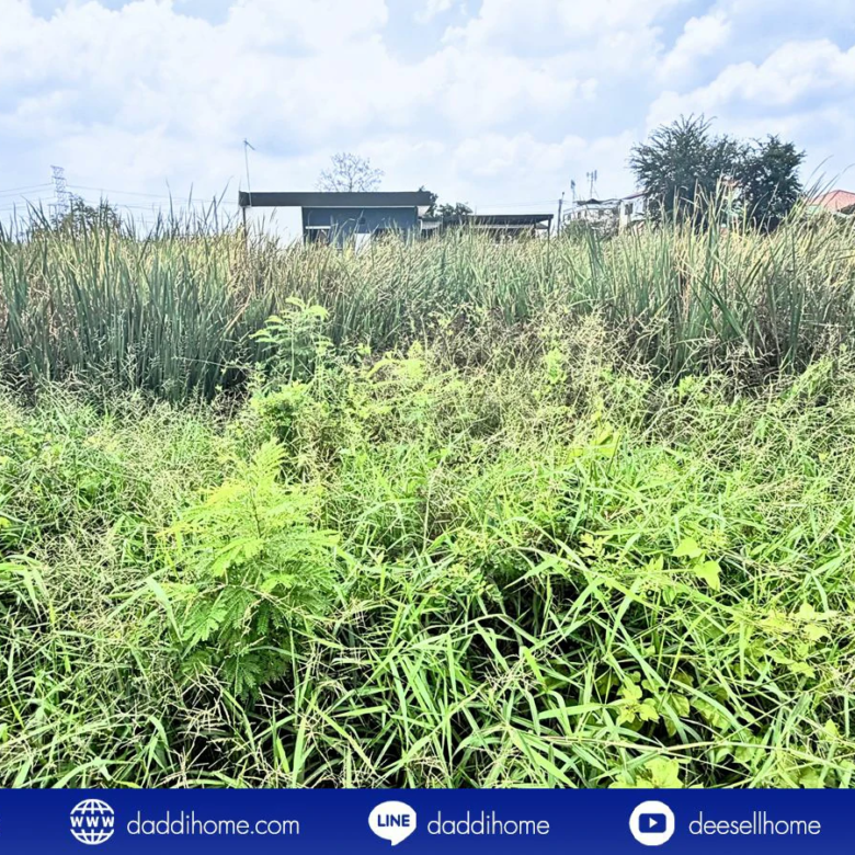 ขายที่ดินคลองหลวง 100 ตารางวา