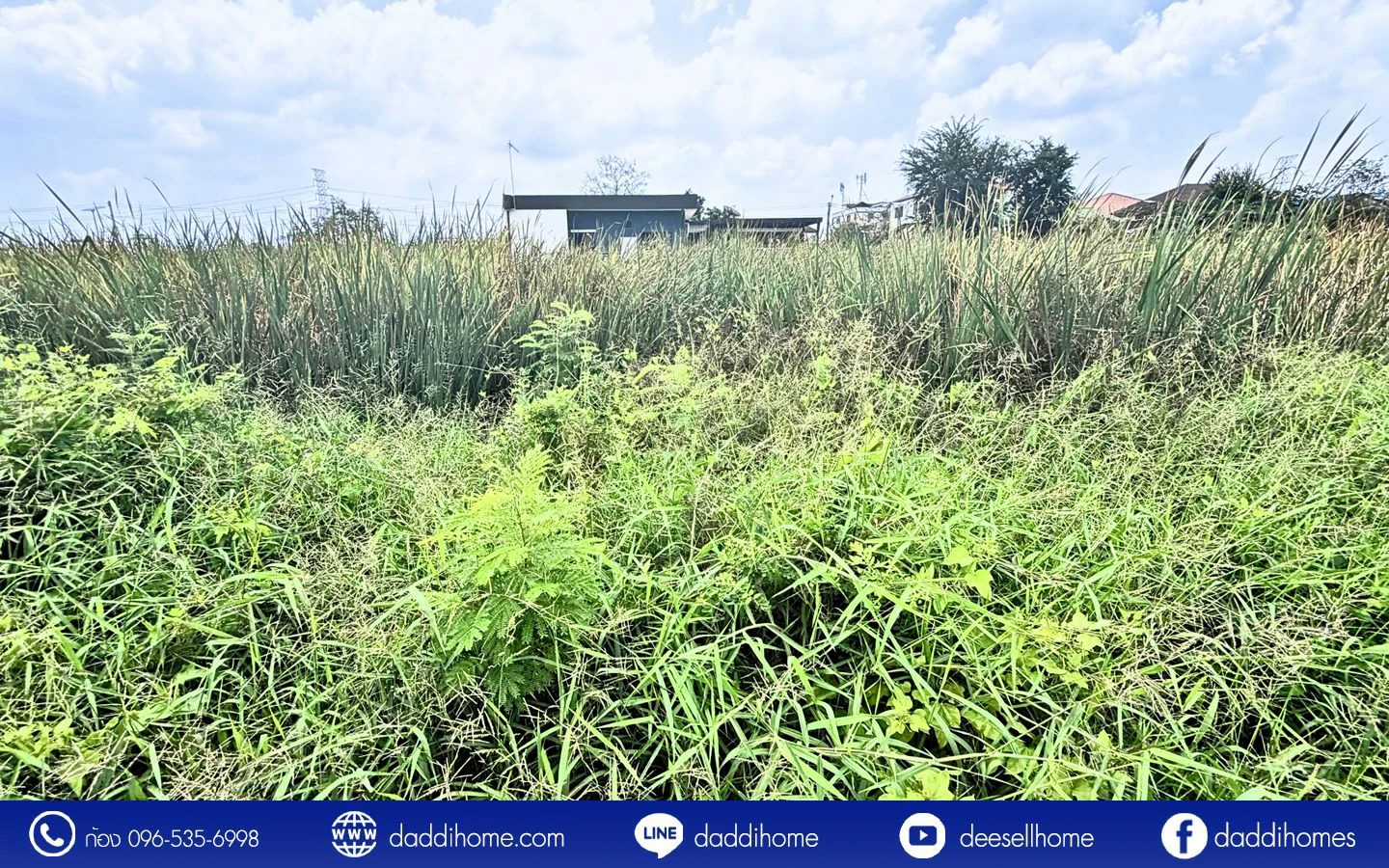 ขายที่ดินคลองหลวง 100 ตารางวา