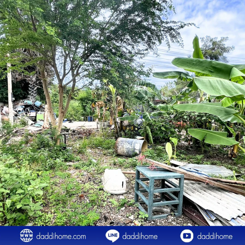 ขายที่ดินหัวหิน