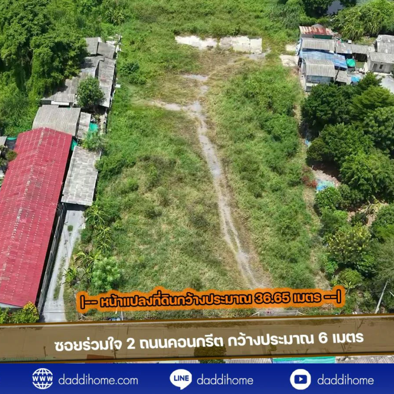 ขายที่ดินกระทุ่มแบน