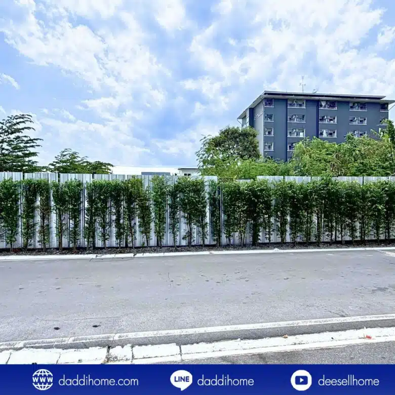 ขายที่ดิน แบริ่ง 218 ตร.ว.