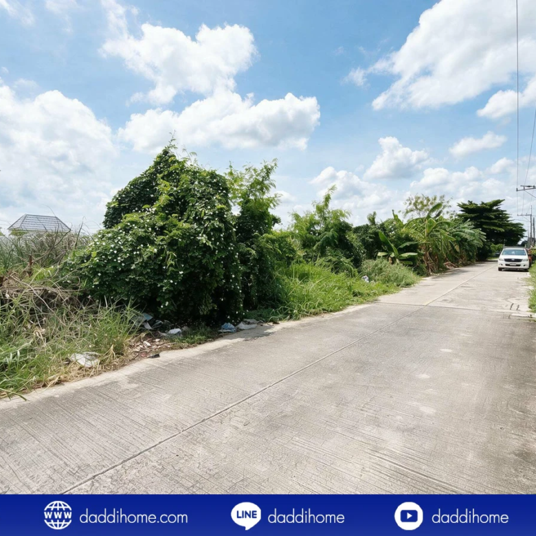 ขายที่ดิน ลำลูกกา 43