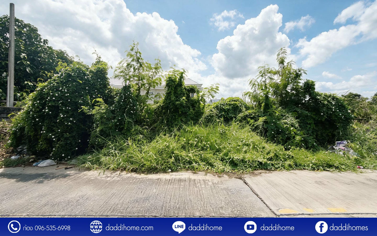 ขายที่ดิน ลำลูกกา 43