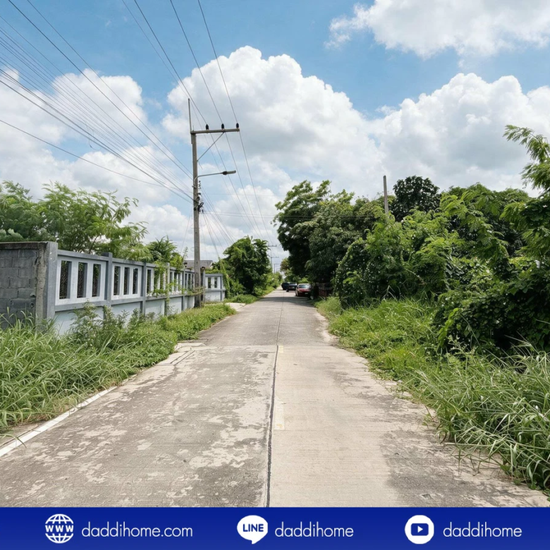 ขายที่ดิน ลำลูกกา 43