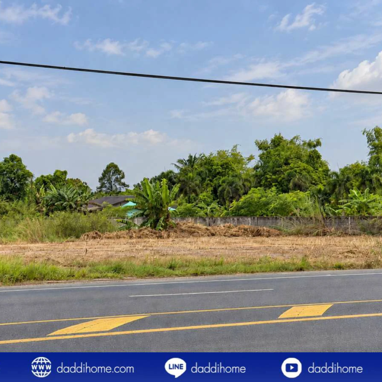 ขายที่ดินบ้านนา นครนายก 2 ไร่กว่า ติดถนน 55 เมตร — ภาพที่ 11